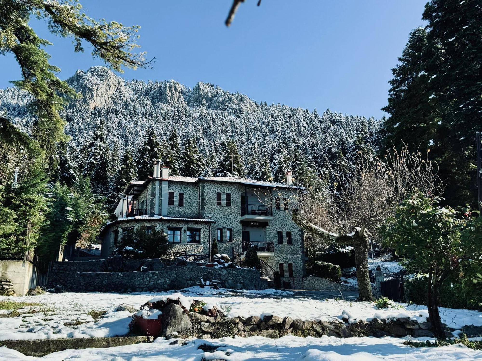 Hotel Katafigio Elati  Экстерьер фото